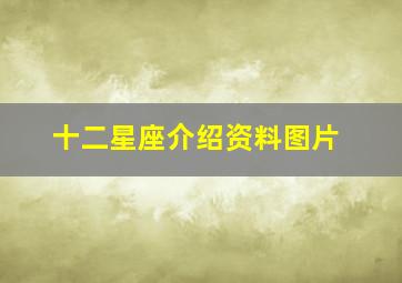 十二星座介绍资料图片,一月份是什么星座