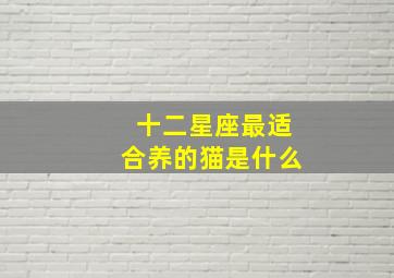 十二星座最适合养的猫是什么,十二星座养什么猫咪