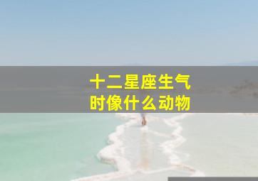 十二星座生气时像什么动物,十二星座生气时会变成什么怪物