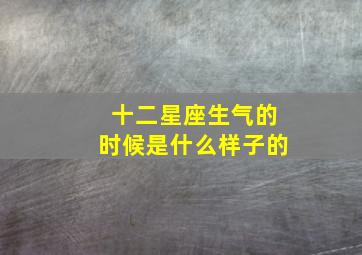 十二星座生气的时候是什么样子的,十二星座在生气时是什么样子的