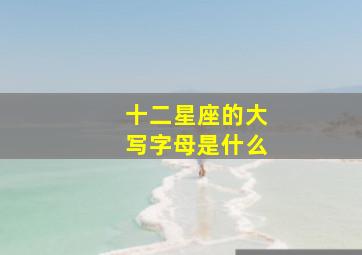 十二星座的大写字母是什么,12星座的字母和标志怎么写