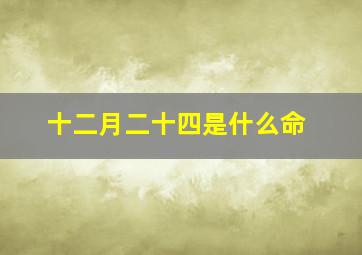 十二月二十四是什么命,十二月二十四出生的人