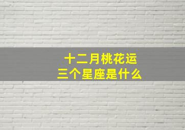 十二月桃花运三个星座是什么,12月桃花运旺盛的生肖