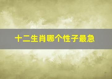 十二生肖哪个性子最急,急赈代表什么生肖