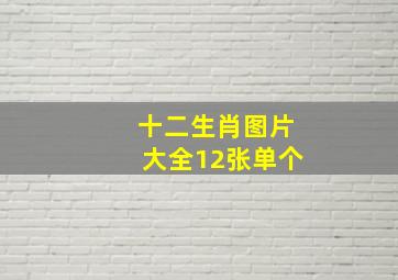 十二生肖图片大全12张单个,