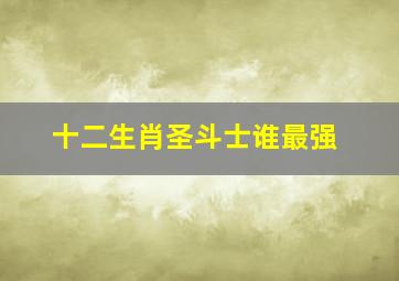 十二生肖圣斗士谁最强,《圣斗士星矢》中