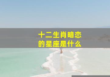 十二生肖暗恋的星座是什么,暗恋是代表什么生肖