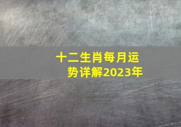 十二生肖每月运势详解2023年,十二生肖运程2023年运势运程