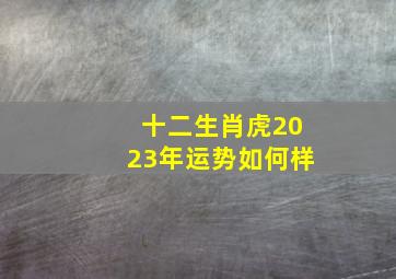 十二生肖虎2023年运势如何样,虎人遇兔年2023运势如何