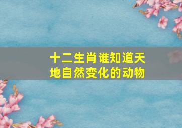 十二生肖谁知道天地自然变化的动物,变化无方是什么生肖动物