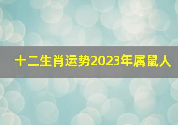 十二生肖运势2023年属鼠人,2023年属鼠人运势大变