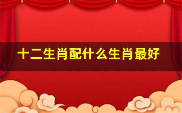 十二生肖配什么生肖最好,十二生肖配对最合适