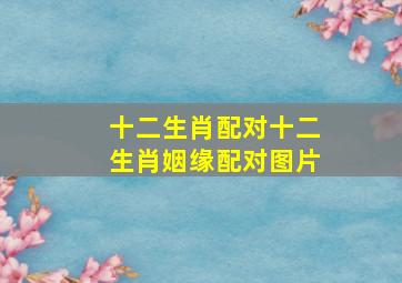 十二生肖配对十二生肖姻缘配对图片,十二属相配对表十二生肖婚姻配对大全