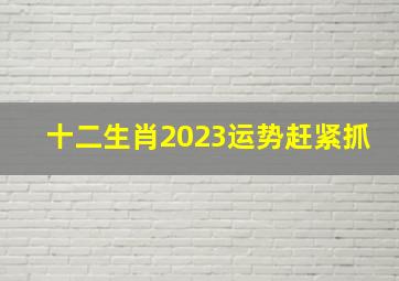 十二生肖2023运势赶紧抓,2023年生肖运势运程完整版十二生肖运势