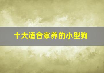 十大适合家养的小型狗,十大适合家养的小型狗的