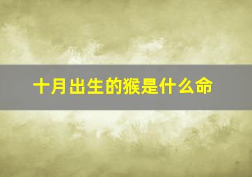 十月出生的猴是什么命,10月属猴的人命好吗10月出生属猴人命运怎么样