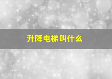 升降电梯叫什么,升降的电梯叫什么