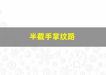 半截手掌纹路,手相纹路代表的意义