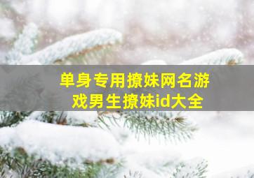 单身专用撩妹网名游戏男生撩妹id大全,男生单身网名简约关于男生单身的网名