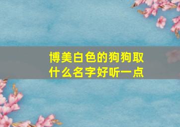 博美白色的狗狗取什么名字好听一点,博美白色的狗狗取什么名字好听一点儿