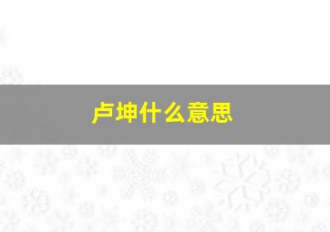 卢坤什么意思,卢坤峰作品价格一平尺