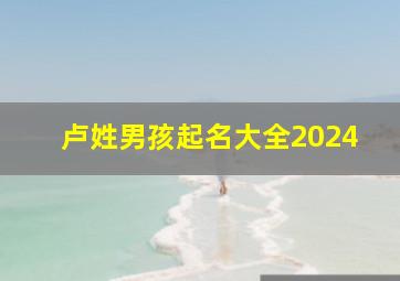 卢姓男孩起名大全2024,卢姓男孩起名大全2024属龙