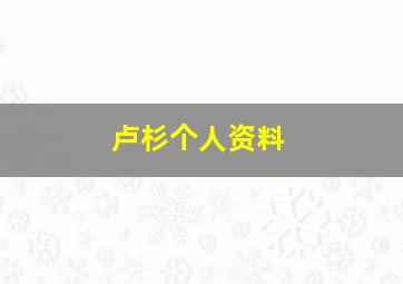 卢杉个人资料,卢杉作品