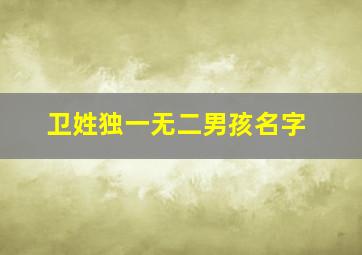 卫姓独一无二男孩名字,好听的姓卫的男孩名字