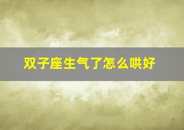 双子座生气了怎么哄好,双子座生气了怎么哄好他