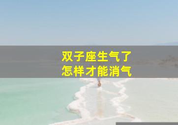 双子座生气了怎样才能消气,双子座生气了怎么办?这三招帮你轻松搞定