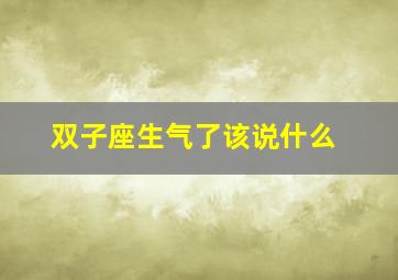 双子座生气了该说什么,双子座生气了该说什么呢