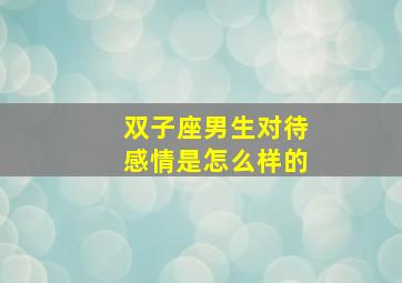 双子座男生对待感情是怎么样的,双子男越爱越上瘾的女人