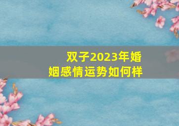 双子2023年婚姻感情运势如何样,2023年双子男婚姻运旺不旺运势分析如何提升运势