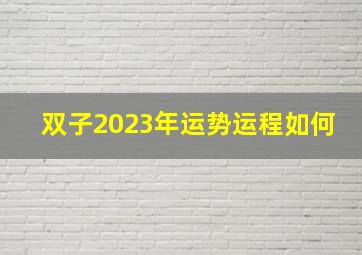 双子2023年运势运程如何,双子座女生2023年运势如何