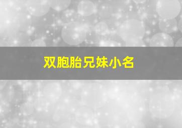 双胞胎兄妹小名,双胞胎兄妹叫什么