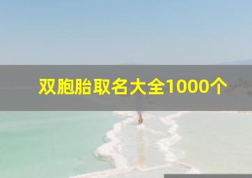 双胞胎取名大全1000个,双胞胎男孩取名字大全2022生辰八字起名的方法有哪些