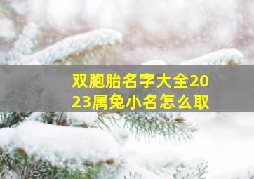 双胞胎名字大全2023属兔小名怎么取,女宝小名2023属兔寓意好的