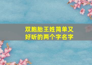 双胞胎王姓简单又好听的两个字名字,王氏双胞胎两个字的名字