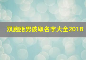 双胞胎男孩取名字大全2018,双胞胎男孩取名字大全2018年