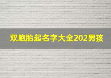 双胞胎起名字大全202男孩,2024双胞胎男孩名字库