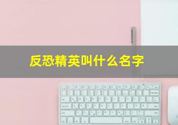 反恐精英叫什么名字