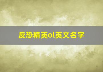 反恐精英ol英文名字,CS的英文名字是什么