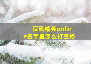 反恐精英online名字里怎么打空格,CSOL怎么打出空格啊我的名字准备改成：天魅樱华但中间的空格和前面的空格怎么打出来