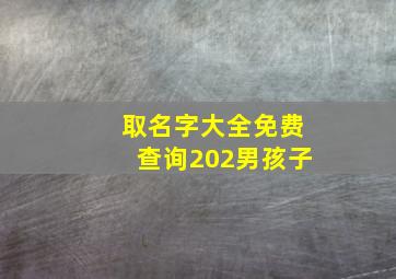 取名字大全免费查询202男孩子,取名字男孩2024免费