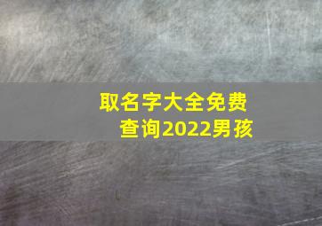 取名字大全免费查询2022男孩,2022年男宝宝取名字大全免费高分霸气的男孩名参考