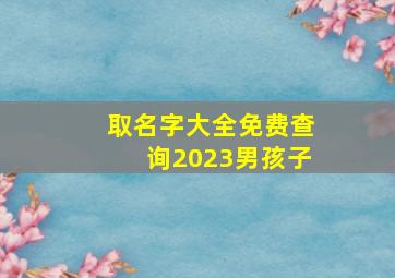 取名字大全免费查询2023男孩子,男孩起名字2023年属兔寓意好的简单男孩名字