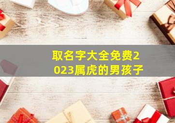 取名字大全免费2023属虎的男孩子,属虎2023年1月1日出生的男宝宝取名