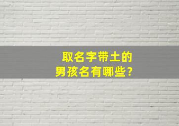 取名字带土的男孩名有哪些？,带土的字用于取名男孩