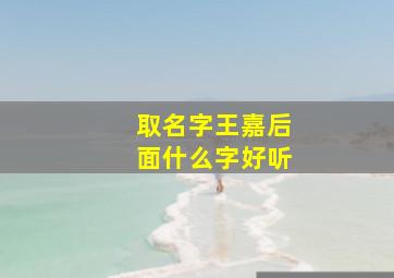 取名字王嘉后面什么字好听,王嘉后面加啥字好听男孩