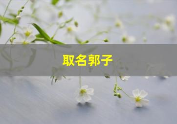 取名郭子,姓郭子字辈名字大全